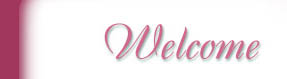 About Barb Elyett - Biography